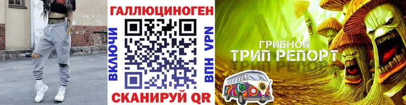 где продают наркотики  Правдинск  Галлюциногенные грибы GOLDEN TEACHER 